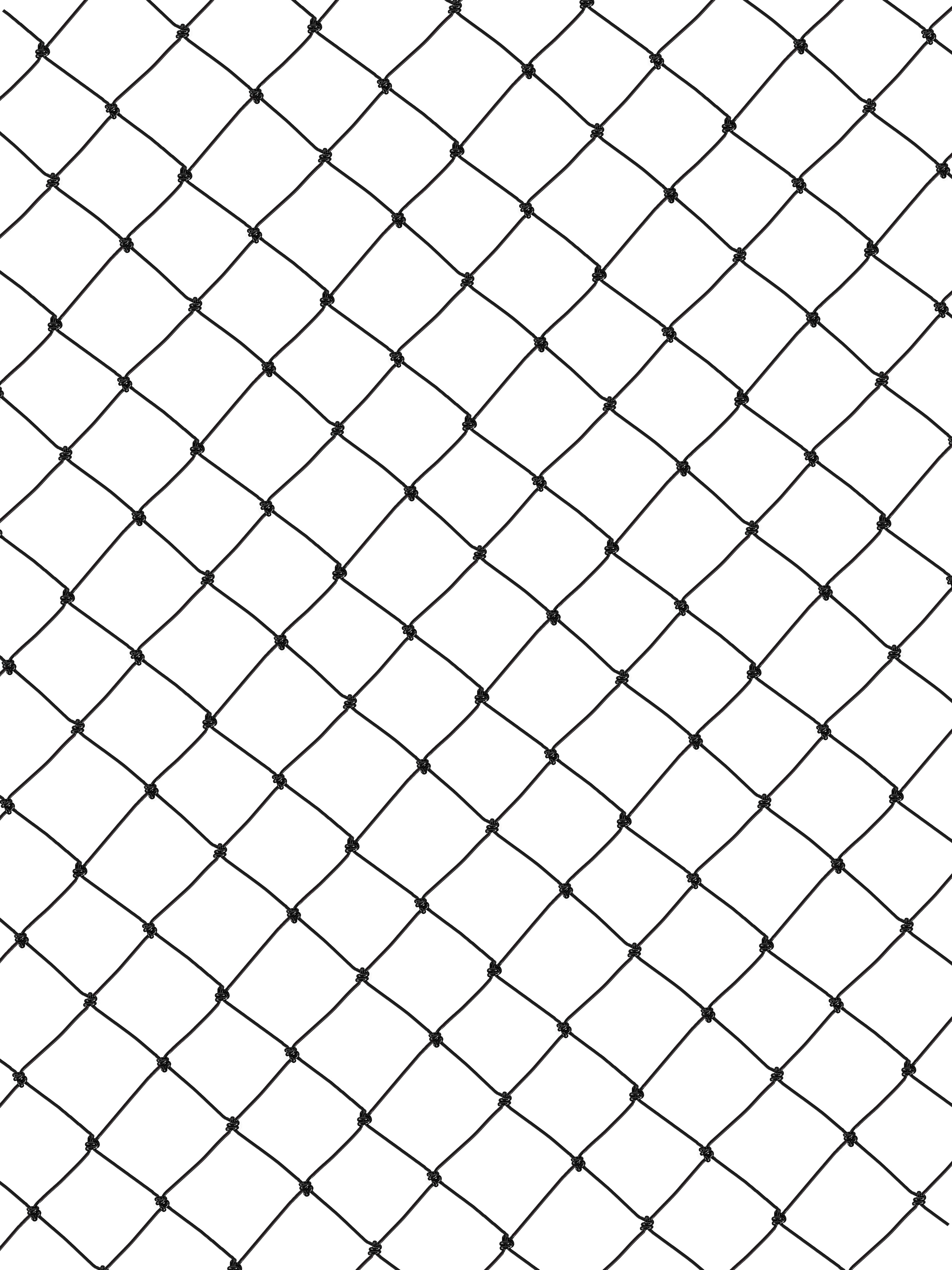 CP10 Net